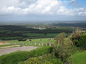 Field by Jill windmill - geograph.org.uk - 2606631.jpg