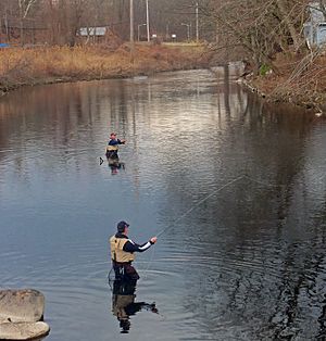 Fly fishing on the Ramapo River on opening day of NY 2013 trout season