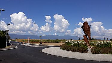 Founex route Suisse