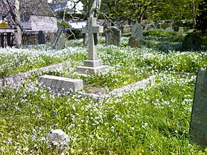 Graveyard, St. Michaels Church, Helston