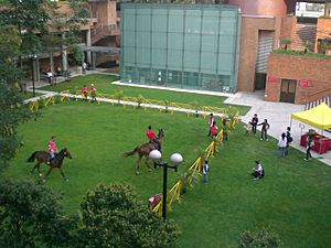 HK PolyU Campus Open Day Meadow Horse Riding