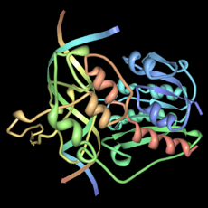 HaeIII-methyltransferase-dna-pdb-1DCT