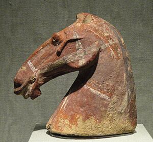 Head of a Horse, 1st century BC, China, ceramic with pigments - San Diego Museum of Art - DSC06471