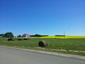 Iconic Barn and Hay Bale - panoramio.jpg