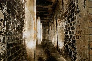 Inside bbunker