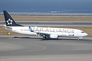 JA51AN Boeing 737 ANA Air Nippon in Star Alliance C-s (7588813748)