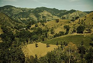 Jack Delano - Corozal, Puerto Rico
