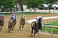 Kentucky Oaks 2009