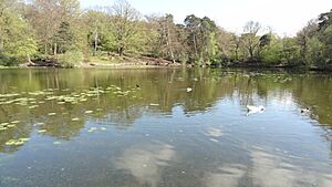 Keston Common middle lake