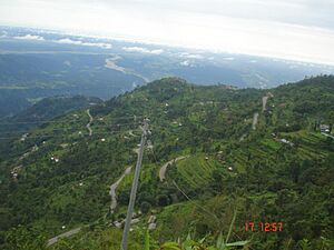 Kolbung