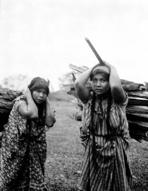 Kvinnor bära ved. Lokal, Missionsstn. Cavinas, nära Rio Beni, Bolivia. Cavinas - SMVK - 005014.tif