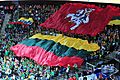 Lithuania and historical Vytis flags during EuroBasket 2011