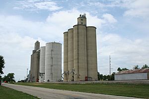 Ludlow Illinois grain elevators