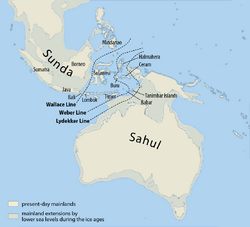Map of Sunda and Sahul