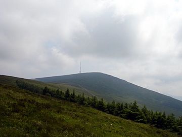 Mount Leinster.JPG