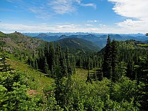 Noble Knob looking North