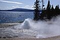 Occasional Geyser-Herkenham
