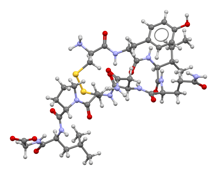 Oxytocin-from-NMR-soln-3D-bs-17