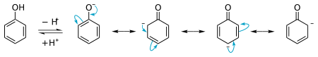 Phenol-phenolate equilibrium