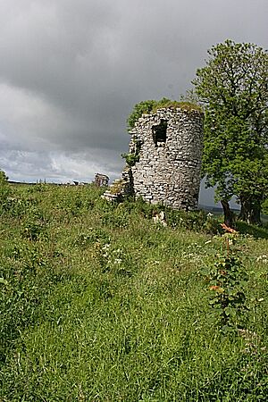 Pitlurg Castle - geograph.org.uk - 479394