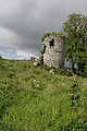 Pitlurg Castle - geograph.org.uk - 479394
