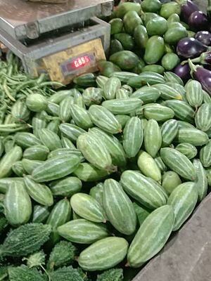 Pointed gourds at a market
