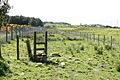 Public Footpath Broughton Moor - geograph.org.uk - 174308