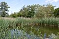 Purwell Ninesprings 2