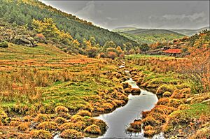 Río Lillas - Hayedo de Tejera Negra