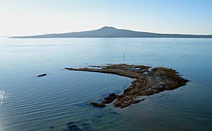 Rangitoto from Achilles Point