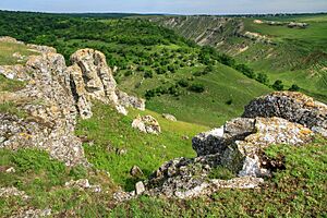 Rezervatia „LaCastel Gordinesti” Edinet (10)