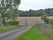 Roman Alignment between the bottom of the modern road and the layby on the A15