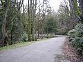 Seattle - Interlaken Bicycle Path 02