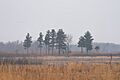 Sherburne National Wildlife Refugee, Minnesota