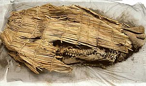 Spirit Cave Mummy