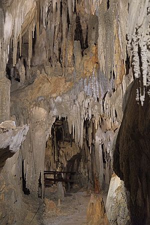 Stalactites above walkway through Ngarua Caves