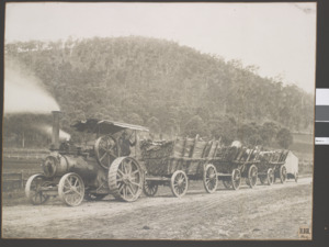Steam traction engine at Mt Warrenheip near Ballarat