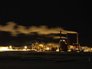 Stora Enso Oulu 2006 01 26