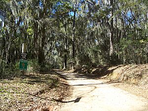 Tallahassee FL Rollins House road01