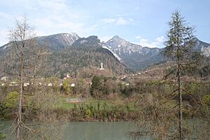 Tamins Ansicht