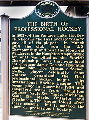 The Birth of Professional Hockey