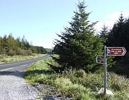The Mid Clare Way - geograph.org.uk - 582270.jpg