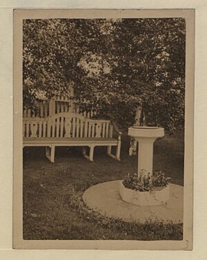 The sundial - pansy patch (HS85-10-39842)