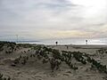 View of the Guadalupe-Nipomo Dunes from Oceano