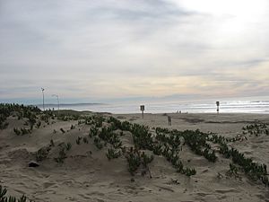 View of the Guadalupe-Nipomo Dunes from Oceano