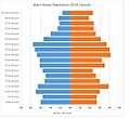 Ware Shoals Population Pyramid 2010 Census