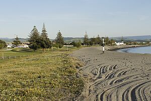 Westshore Beach, Napier