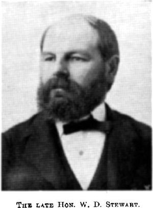 Portrait photo of Downie Stewart – a man with a full beard.