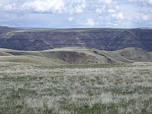 Zumwalt prairie 2007