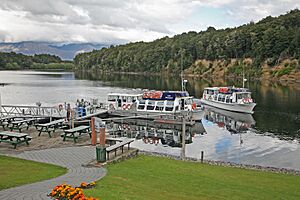 00 1462 New Zealand (Southland, Fiordland National Park) - Lake Manapouri